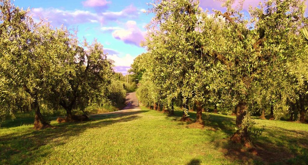 Podere La Casuccia Malmantile Ruang foto